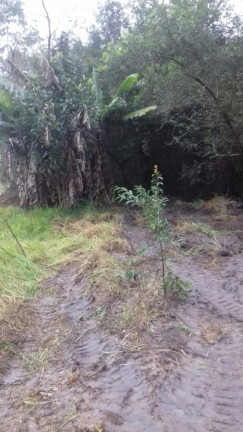 Imagem Imóvel com 1 Quarto à Venda, 8.177 m² em Tijuco Preto - Quadra