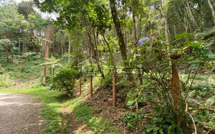 Imagem Imóvel à Venda, 4.814 m² em Campos Do Jordão - Campos Do Jordão Imagem Imóvel à Venda, 4.814 m² em Campos Do Jordão - Campos Do Jordão