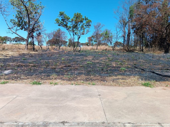 Imagem Terreno à Venda, 490 m² em Setor Faiçalville - Goiânia Imagem Terreno à Venda, 490 m² em Setor Faiçalville - Goiânia