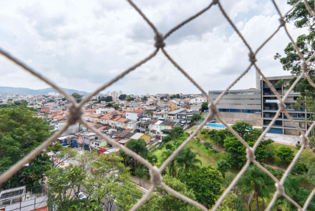 Imagem Apartamento com 3 Quartos à Venda, 81 m² em Vila Amélia - São Paulo