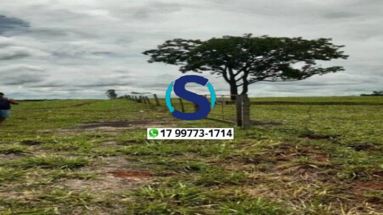 Imagem Chácara à Venda, 1 m² em Centro - Fernandópolis Imagem Chácara à Venda, 1 m² em Centro - Fernandópolis
