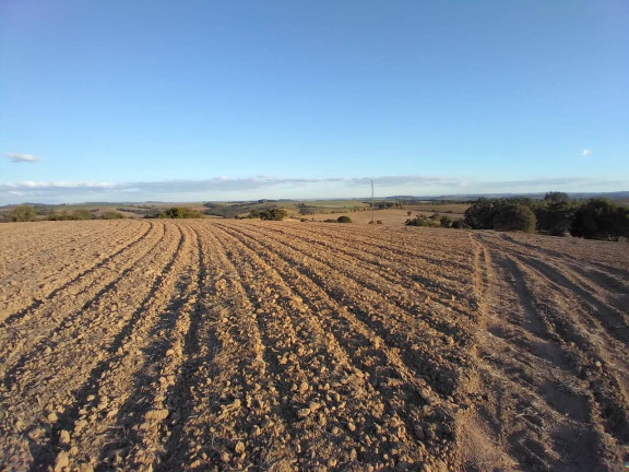 Fazenda à Venda,  em Centro - Itaberá