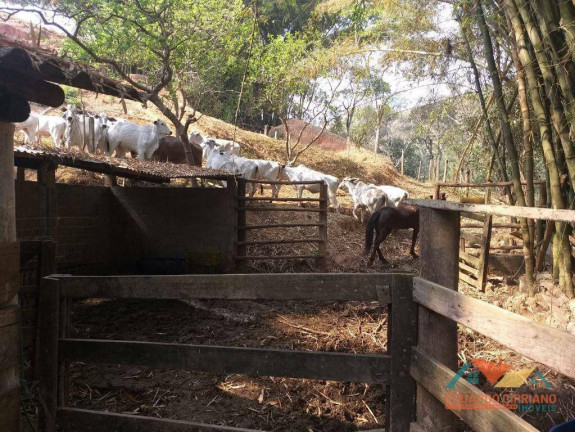 Imagem Fazenda à Venda, 1 m² em Rio Claro - Paraibuna Imagem Fazenda à Venda, 1 m² em Rio Claro - Paraibuna