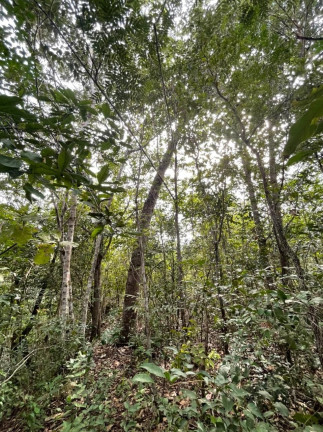 Imagem Imóvel à Venda,  em São Félix Do Tocantins/to - São Félix Do Tocantins