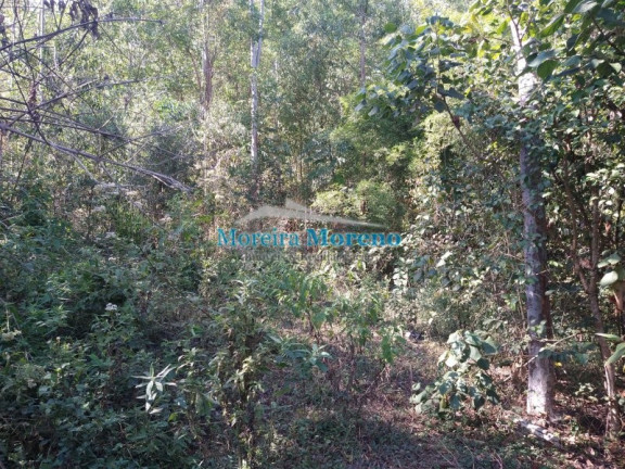 Imagem Imóvel à Venda, 9.000 m² em Zona Rural - Borda Da Mata Imagem Imóvel à Venda, 9.000 m² em Zona Rural - Borda Da Mata