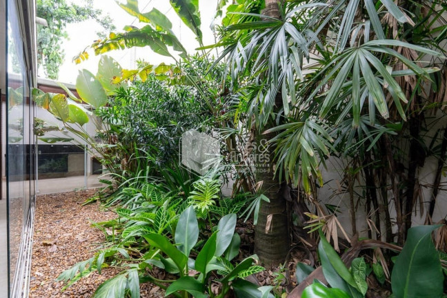 Imagem Casa com 5 Quartos à Venda, 424 m² em Jardim Petrópolis - São Paulo