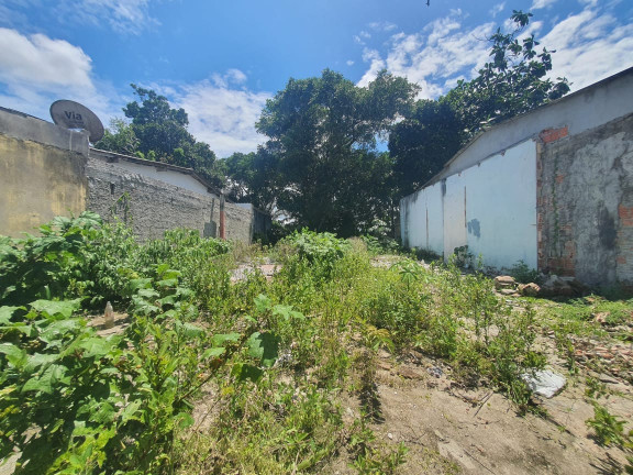 Imagem Terreno à Venda, 144 m² em Novo Aleixo - Manaus Imagem Terreno à Venda, 144 m² em Novo Aleixo - Manaus