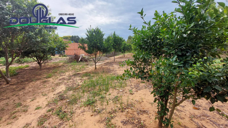 Imagem Terreno à Venda, em águas Claras - Viamão Imagem Terreno à Venda, em águas Claras - Viamão