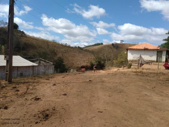 Imagem Imóvel à Venda, 10 m² em Sitio Capituvas - Bandeira Do Sul