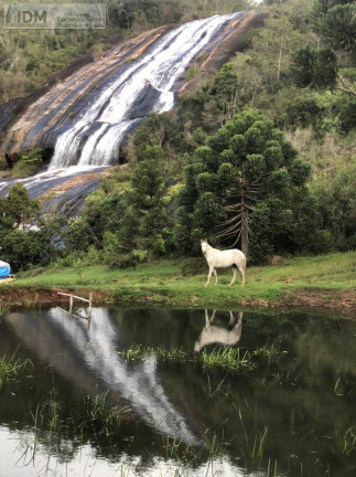 Imagem Chácara à Venda, 853.800 m² em Centro - Carvalhos