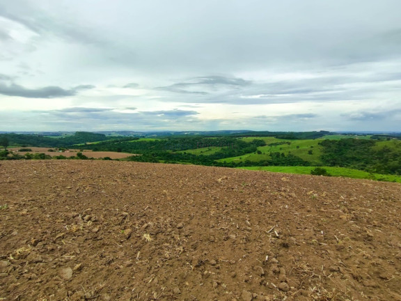 Imagem Imóvel com 6 Quartos à Venda, 847.000 m² em Centro - Itapetininga