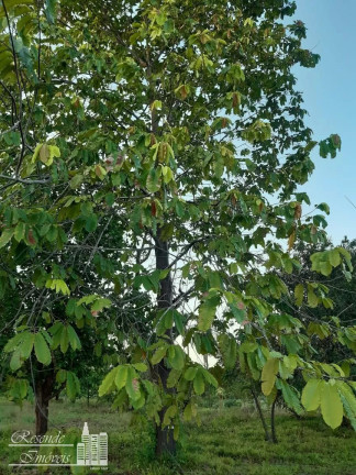 Imagem Terreno à Venda, 43.000 m² em Centro - Jacundá Imagem Terreno à Venda, 43.000 m² em Centro - Jacundá