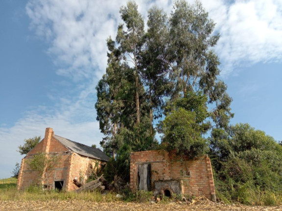 Imagem Chácara com 3 Quartos à Venda, 130.000 m² em Cantagalo - Antônio Olinto