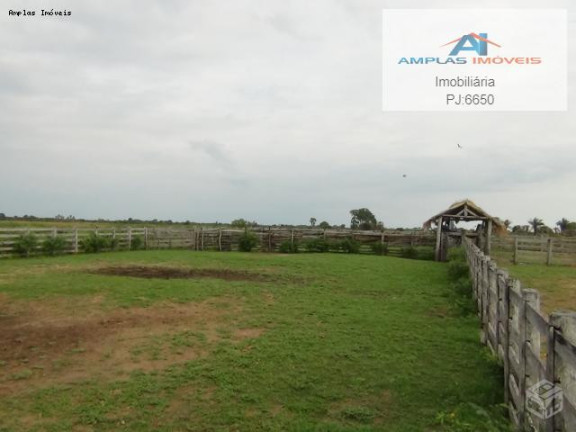 Imagem Fazenda à Venda, 58.000 m² em Cáceres Imagem Fazenda à Venda, 58.000 m² em Cáceres