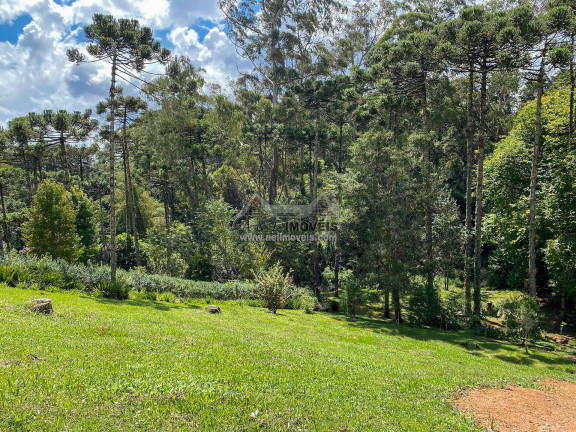 Imagem Terreno em Condomínio à Venda, 1 m² em Alto Capivari - Campos Do Jordão Imagem Terreno em Condomínio à Venda, 1 m² em Alto Capivari - Campos Do Jordão