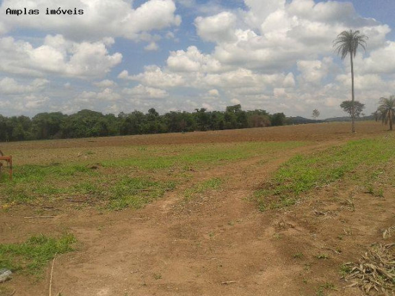 Imagem Fazenda à Venda, 52 m² em Florestal Imagem Fazenda à Venda, 52 m² em Florestal