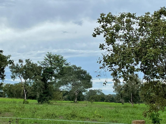 Imagem Fazenda à Venda, 500 m² em Zona Rural - Aliança Do Tocantins