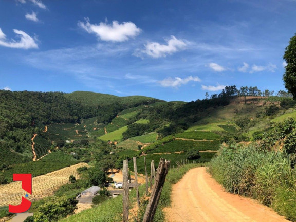 Imagem Fazenda à Venda, em Vale Taboca - Santa Teresa Imagem Fazenda à Venda, em Vale Taboca - Santa Teresa