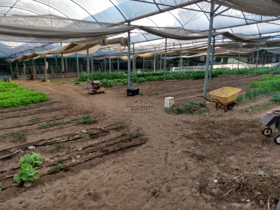 Imagem Imóvel com 1 Quarto à Venda, 21.300 m² em São Marcos - Bofete