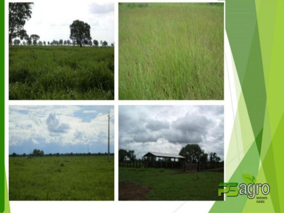 Imagem Imóvel à Venda, 934.000.000 m² em Zona Rural - São Felix Do Araguaia Imagem Imóvel à Venda, 934.000.000 m² em Zona Rural - São Felix Do Araguaia