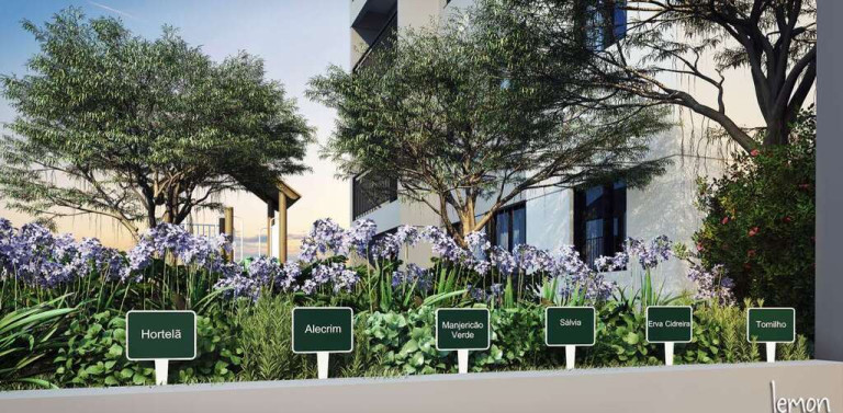 Imagem Apartamento com 2 Quartos à Venda, 36 m² em Freguesia Do ó - São Paulo Imagem Apartamento com 2 Quartos à Venda, 36 m² em Freguesia Do ó - São Paulo