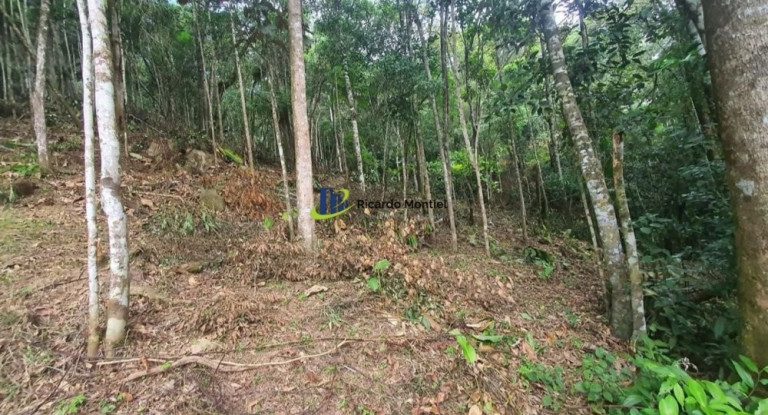 Imagem Imóvel à Venda,  em Centro - Camboriú