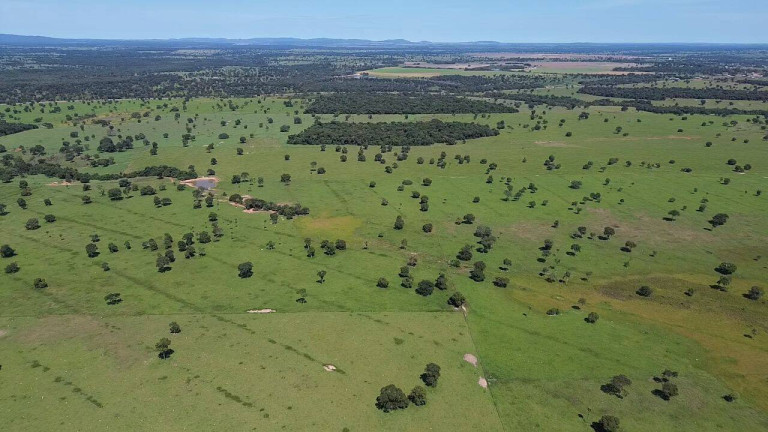 Imagem Fazenda à Venda, 242 m² em Zona Rural - Araguapaz Imagem Fazenda à Venda, 242 m² em Zona Rural - Araguapaz