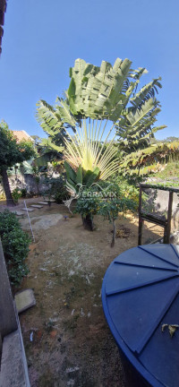 Imagem Casa com 5 Quartos à Venda, 390 m² em Morro Da Lagoa - Vila Velha Imagem Casa com 5 Quartos à Venda, 390 m² em Morro Da Lagoa - Vila Velha