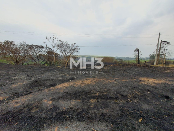 Imagem Terreno à Venda, 54.000 m² em Chácara Recreio Cruzeiro Do Sul - Santa Bárbara D'oeste