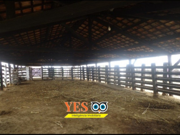 Imagem Imóvel com 1 Quarto à Venda, 80.000 m² em Centro - Lajedinho