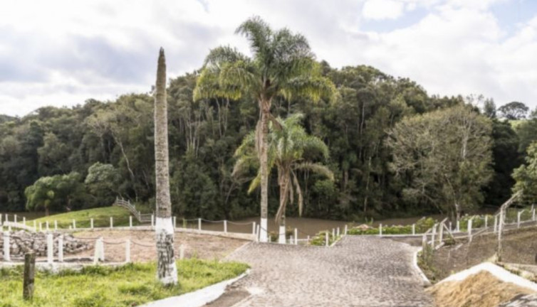 Imagem Imóvel com 3 Quartos à Venda, 36.300 m² em Roça Velha - São José Dos Pinhais Imagem Imóvel com 3 Quartos à Venda, 36.300 m² em Roça Velha - São José Dos Pinhais
