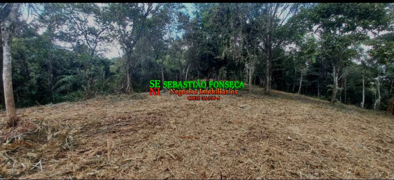 Imagem Chácara à Venda, 30.000 m² em Centro - Monteiro Lobato Imagem Chácara à Venda, 30.000 m² em Centro - Monteiro Lobato