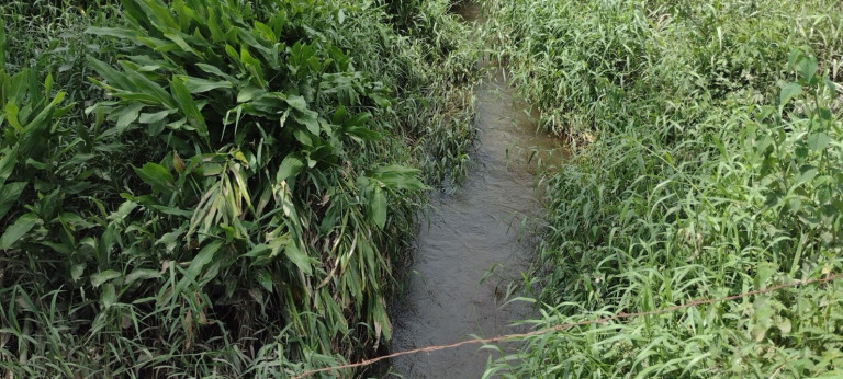 Imagem Fazenda à Venda, 150 m² em Parque Das Alamedas - Guaratinguetá