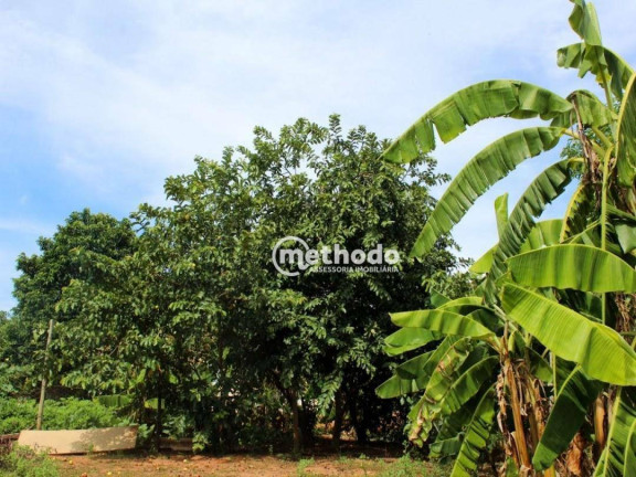 Imagem Chácara com 3 Quartos à Venda, 5.762 m² em Centro - Bálsamo