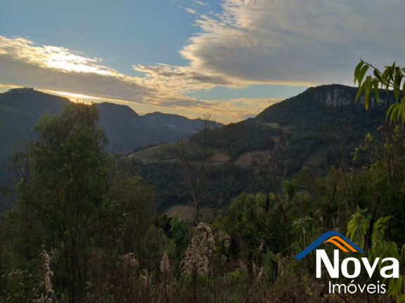 Imagem Imóvel à Venda, 31.701 m² em Linha Pirajá Baixa - Nova Petrópolis