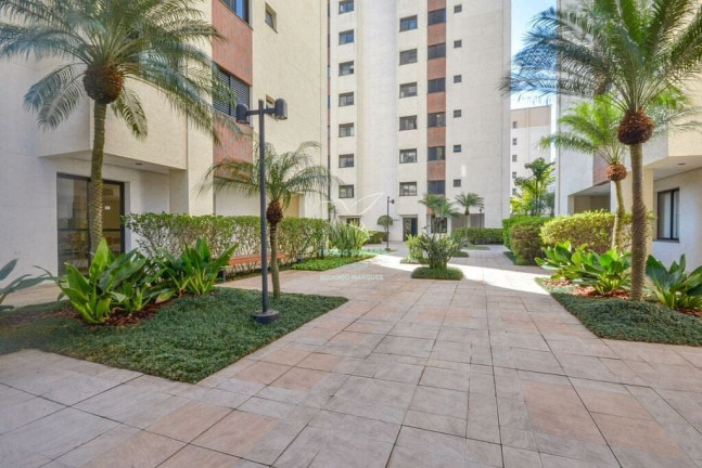 Imagem Apartamento com 2 Quartos à Venda, 55 m² em Caxingui - São Paulo Imagem Apartamento com 2 Quartos à Venda, 55 m² em Caxingui - São Paulo