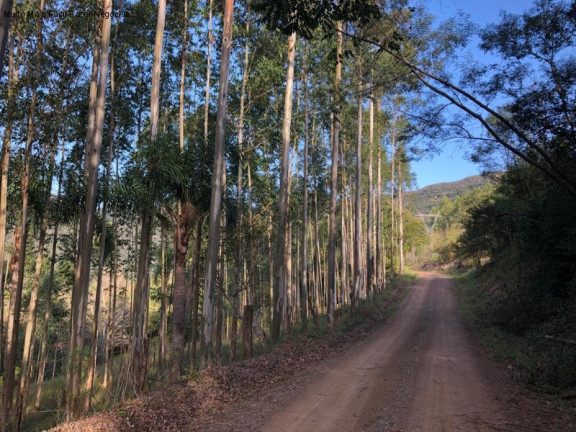 Imagem Terreno à Venda, 4 m² em São José Do Caí - Nova Petrópolis Imagem Terreno à Venda, 4 m² em São José Do Caí - Nova Petrópolis