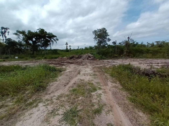 Imagem Terreno à Venda, em Itapema Do Saí - Itapoá Imagem Terreno à Venda, em Itapema Do Saí - Itapoá