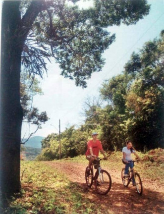 Imagem Casa de Condomínio com 4 Quartos à Venda, 290 m² em Condomínio Mãe Terra - Brumadinho