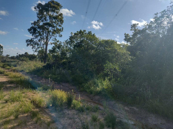 Imagem Terreno à Venda, 20.000 m² em Alto Perequê - Arroio Do Padre Imagem Terreno à Venda, 20.000 m² em Alto Perequê - Arroio Do Padre