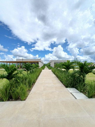 Imagem Terreno à Venda, 311 m² em Aldeia Dos Camarás - Paudalho Imagem Terreno à Venda, 311 m² em Aldeia Dos Camarás - Paudalho