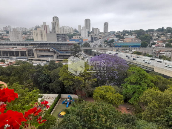 Imagem Apartamento com 3 Quartos à Venda, 115 m² em Jardim Aeroporto - São Paulo Imagem Apartamento com 3 Quartos à Venda, 115 m² em Jardim Aeroporto - São Paulo