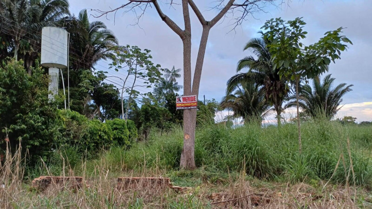 Imagem Terreno à Venda, 5.000 m² em Mato Grosso - Porto Velho Imagem Terreno à Venda, 5.000 m² em Mato Grosso - Porto Velho