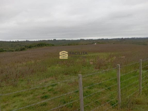 Imóvel à Venda, 460.000 m² em Centro - Pinheiro Machado