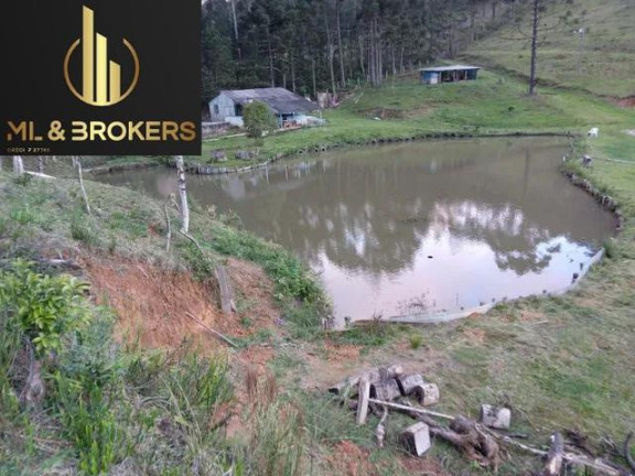 Imagem Imóvel à Venda, 30.250 m² em Matulao - Tijucas Do Sul