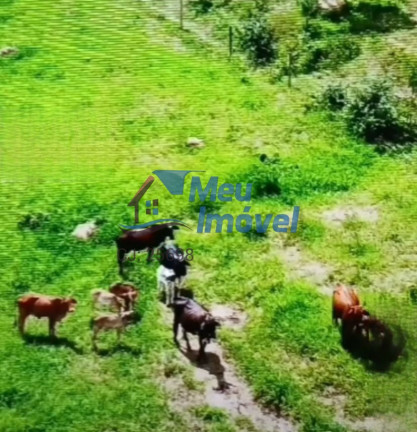 Imagem Imóvel com 5 Quartos à Venda, 5 m² em área Rural De Luziânia - Luziânia Imagem Imóvel com 5 Quartos à Venda, 5 m² em área Rural De Luziânia - Luziânia
