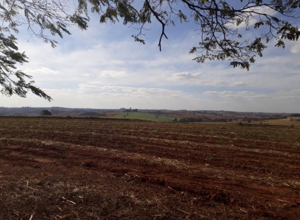 Imagem Fazenda à Venda, 81 m² em Rural - Tietê Imagem Fazenda à Venda, 81 m² em Rural - Tietê