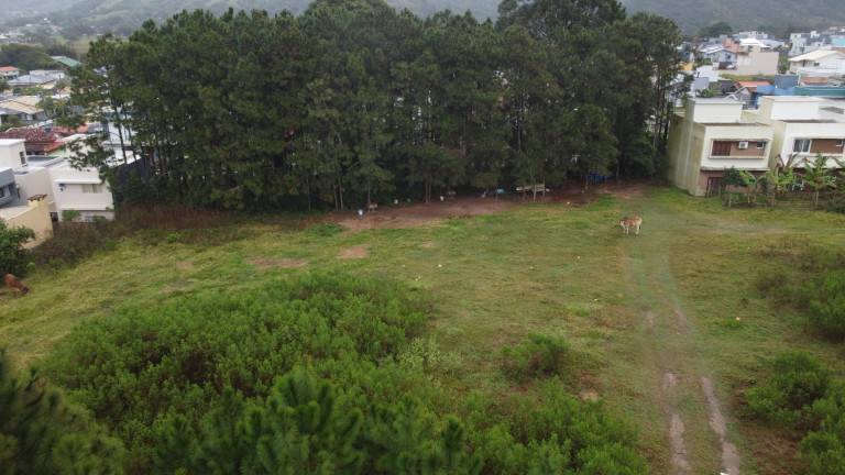 Imagem Terreno à Venda, 687 m² em Ambrósio - Garopaba Imagem Terreno à Venda, 687 m² em Ambrósio - Garopaba