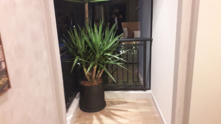 Imagem Apartamento com 4 Quartos à Venda, 153 m² em Vila Mariana - São Paulo
