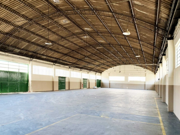 Imagem Galpão para Alugar, 1.233 m² em Vila Palmeiras - São Paulo